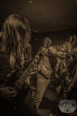 Necrotic Woods Live